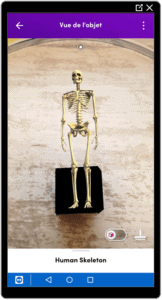 Photo de Merge Object Viewer Skeleton