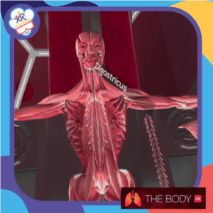 The body VR