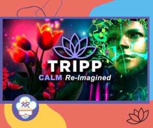 TRIPP est une application de réalité virtuelle qui vous permet de méditer en VR en vous projetant dans des environnements psychédéliques inédits.