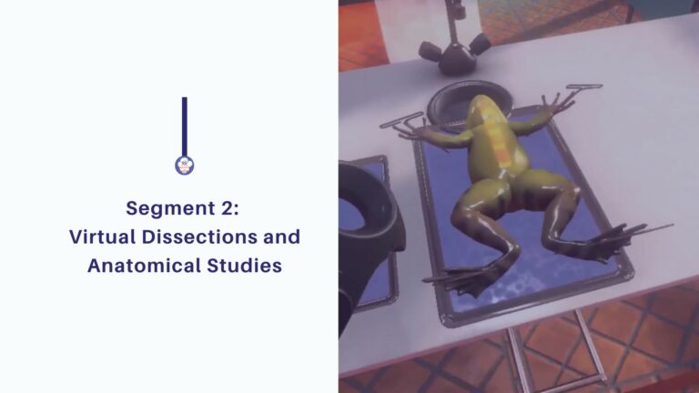 VR and dissection